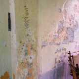 Sulle pareti, purtroppo rovinate dall�umidit�, ci sono i resti di antichi decori vegetali...